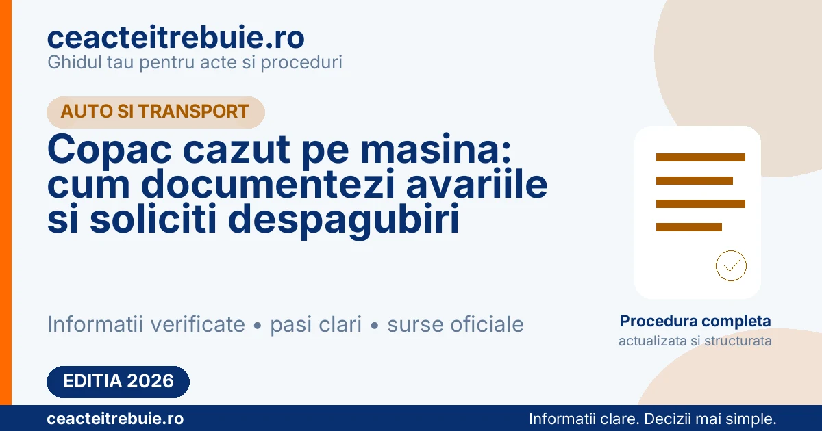 Copac cazut pe masina: cum documentezi avariile si soliciti despagubiri